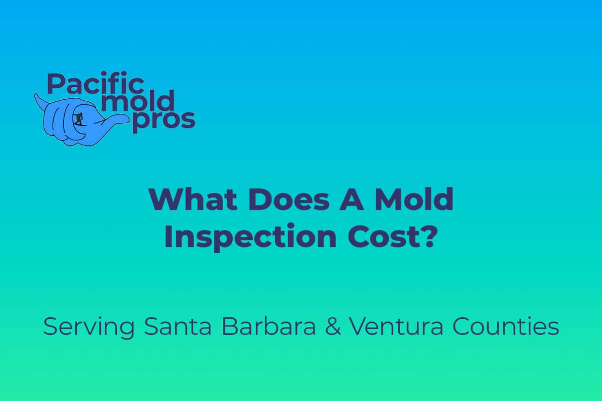 What Does A Mold Inspection Cost - Pacific Mold Pros